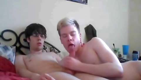 Horny couple fuck each other in their sex