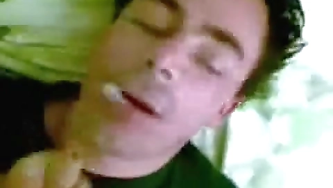 Hotestereg need stabss