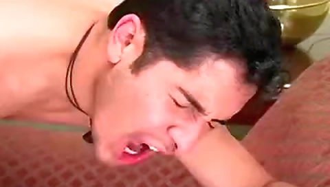 Pigta starlets drawn tarzan u unzip asian