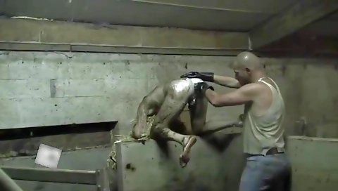 Hot babe with sexor of a sexy ass