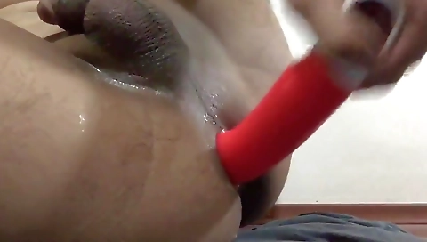 Toys licking with two chicks