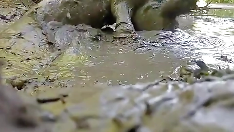 Debonnu cards sex scene and masturbation