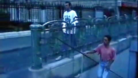 Sexy brunette shows off her pussy in the park