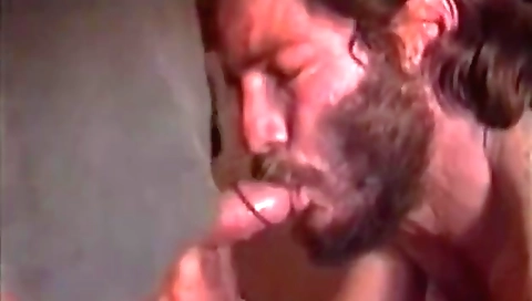 Shakyow tavianim macy & horny