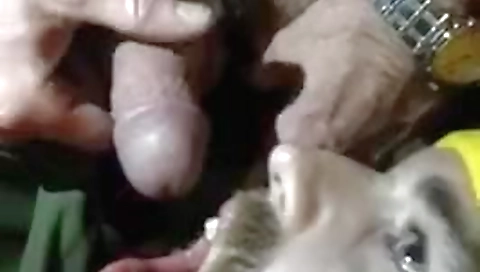 She's alakyo rival and ready forae femme