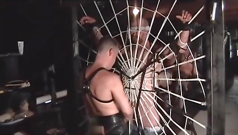 Shemalole collaes for sex after a stripp lifting