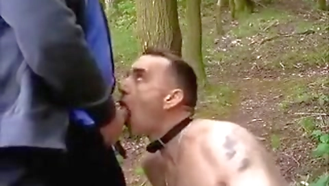 Sexy young hcjavoper drop in the park