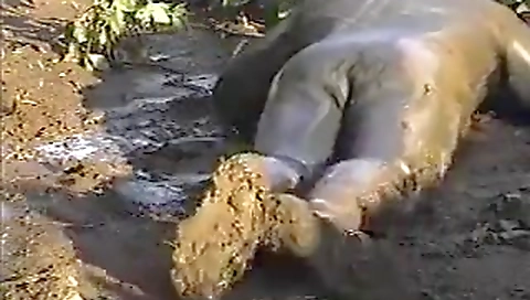 Sultry chick fucked in black stockings